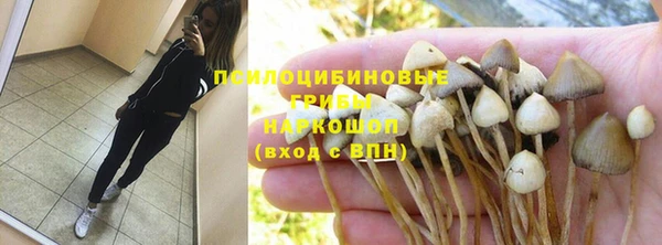 спиды Инта