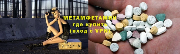 шишки Инсар