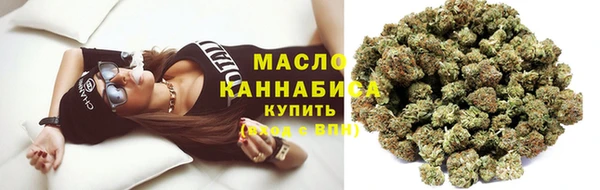 шишки Инсар