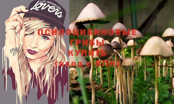 шишки Инсар