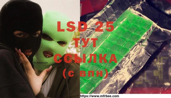 спиды Инта