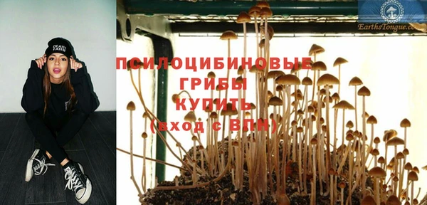 спиды Инта