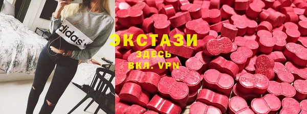 шишки Инсар
