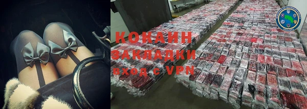 шишки Инсар