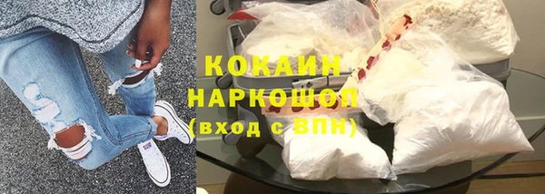 шишки Инсар