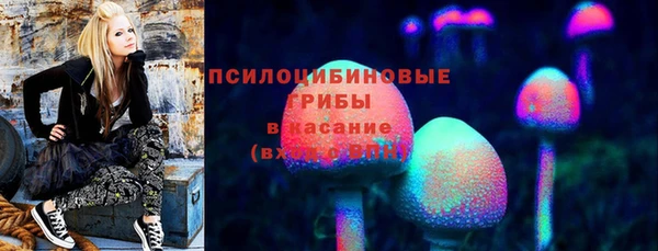 шишки Инсар
