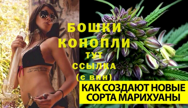шишки Инсар
