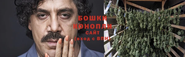 шишки Инсар